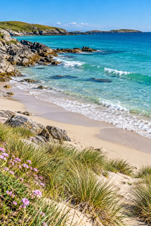 Flowered Dune Beach