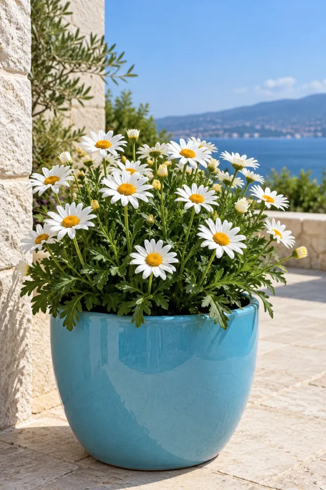 Daisies Blue Planter