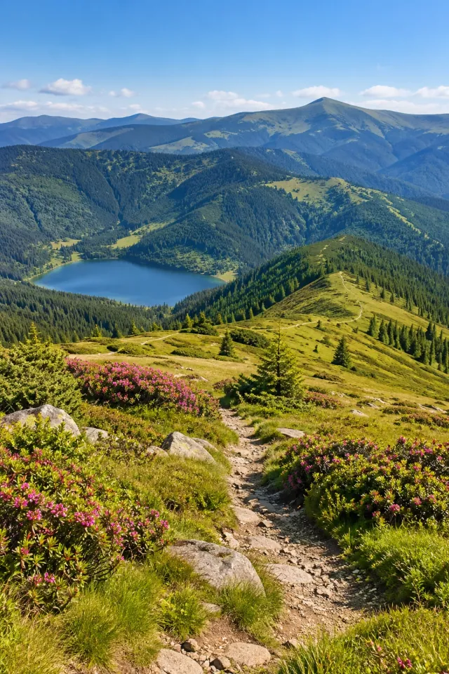 Carpathian Sunny Ridges