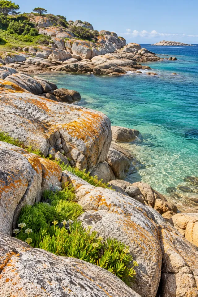 Lichen Coastal Rocks