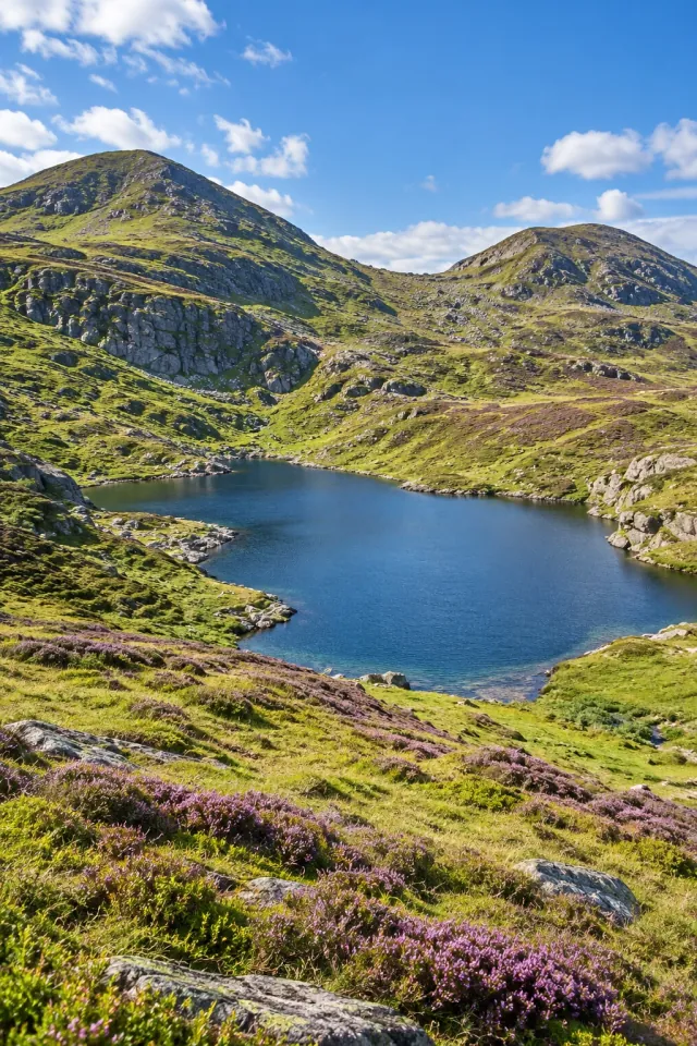 Heather and a Slate Mountain Tarn