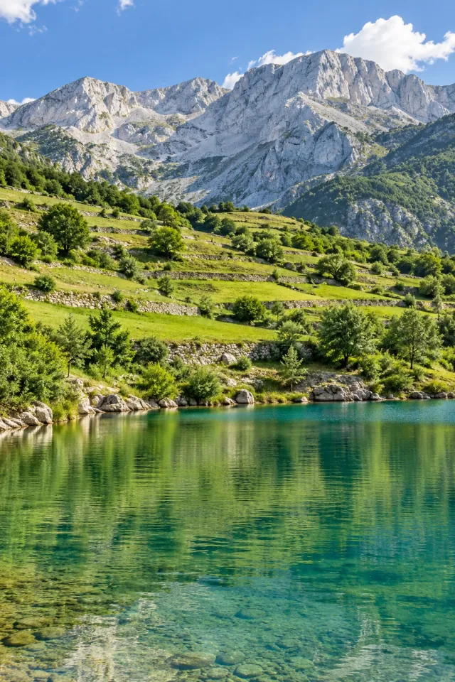 Green Terraces above a Mountain Lake