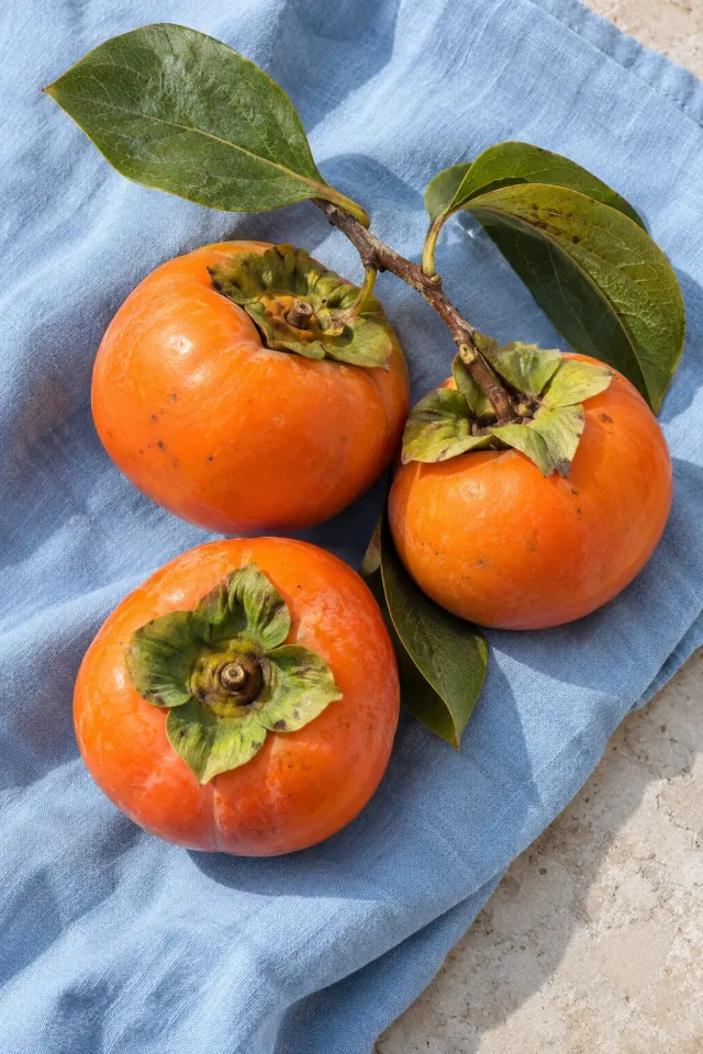 Persimmons on Blue Cotton