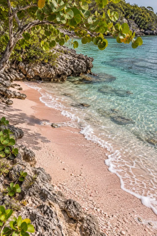 Pink Sand Shore