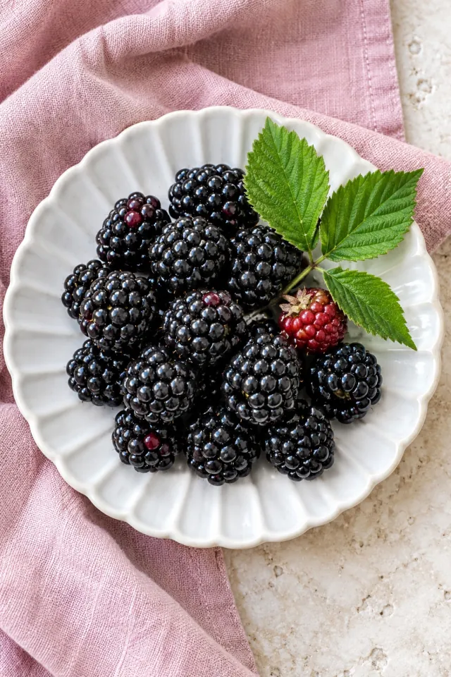 Blackberries on Pink Linen