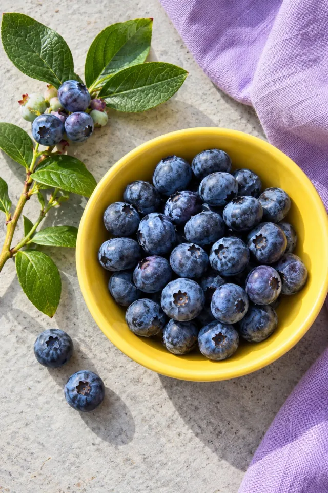 Blueberries in Yellow Porcelain