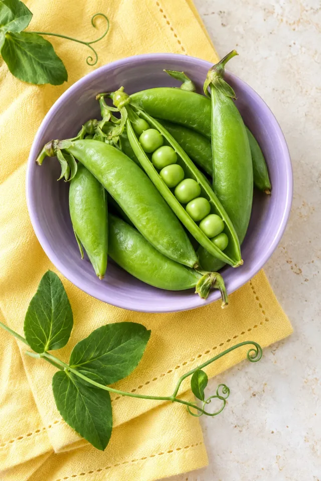 Green Peas in a Lilac Bowl