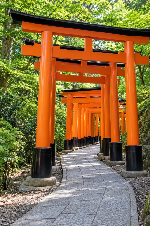 Sunlit Fushimi Inari Path