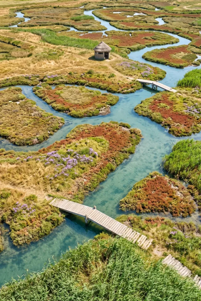 Turquoise Salt-Marsh Channels
