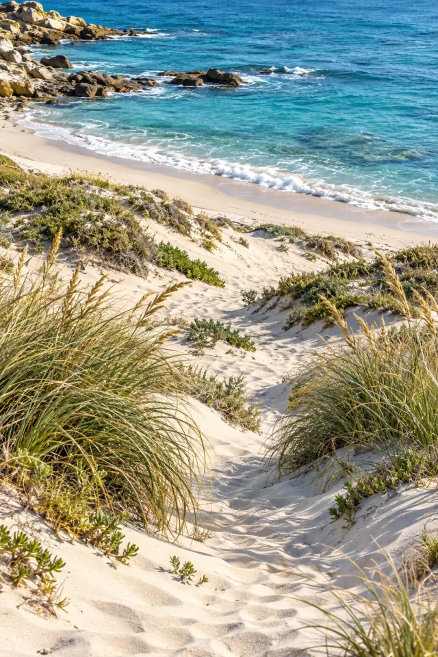 White Dunes by the Sea
