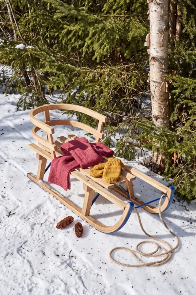Winter Sled and Wool Mittens